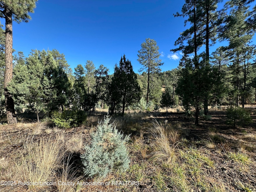 Lot 152 Del Monte Dr, Alto, NM 88312 - photo 1