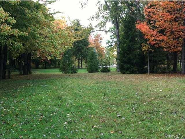 A level, cleared lot within the woodland community