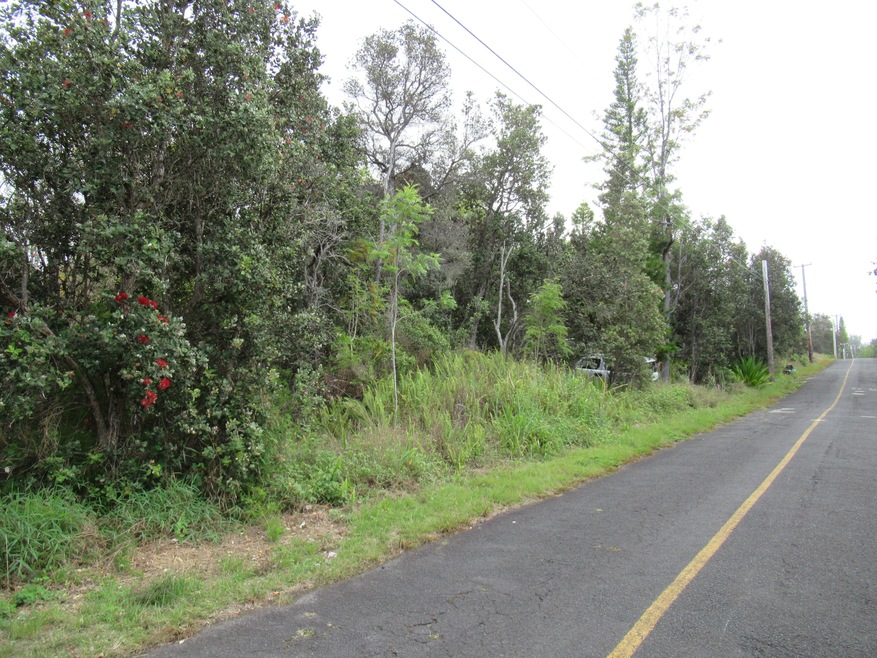 92-1807 Oceanview Pkwy, Ocean View, HI 96737 - photo 1