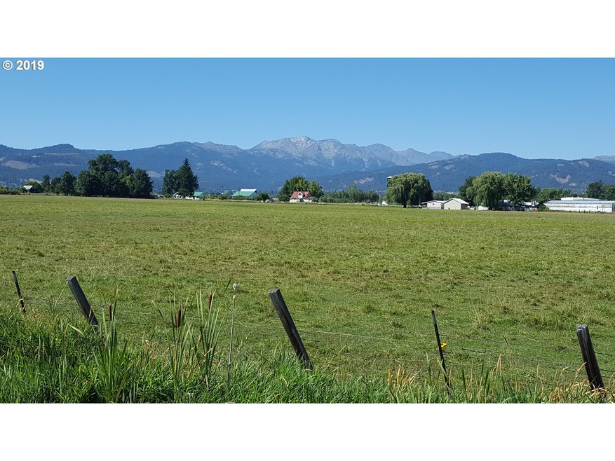 0 0 Lone Fir unit 19409627, Halfway, OR 97834 - photo 1