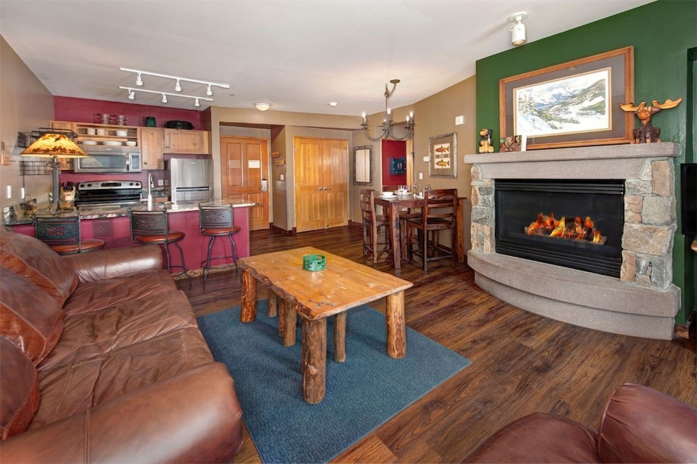 Living area featuring dark wood-style flooring, a
