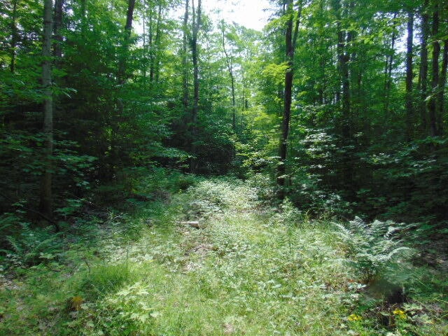 Acreage