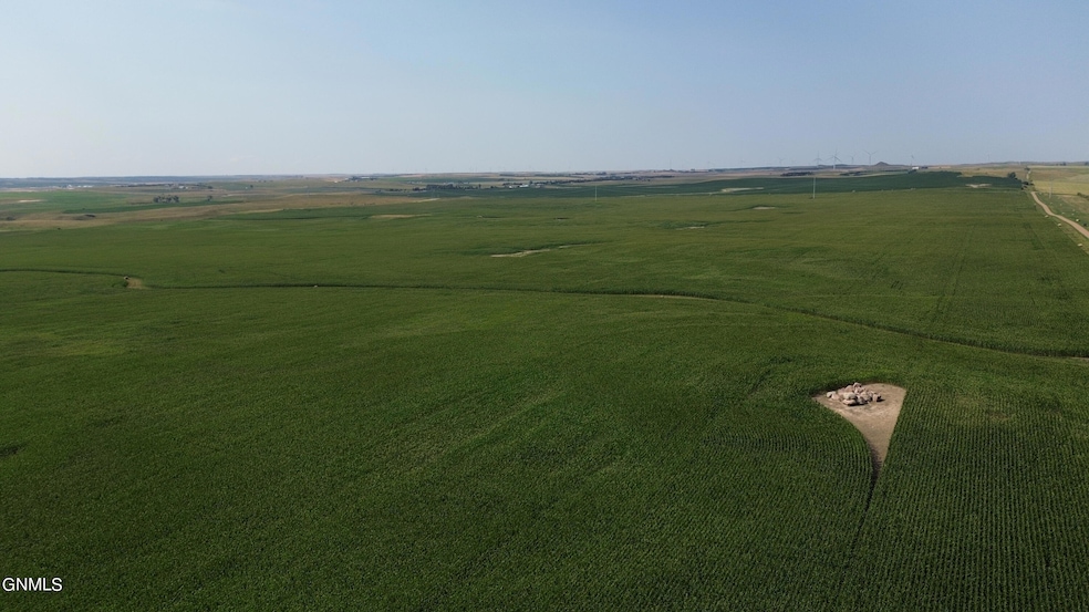 DJI_0298