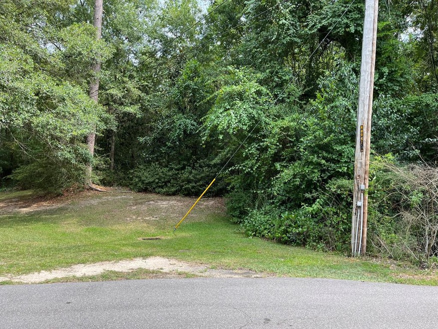 NHN Idlewild Dr, Picayune, MS 39466 - photo 1