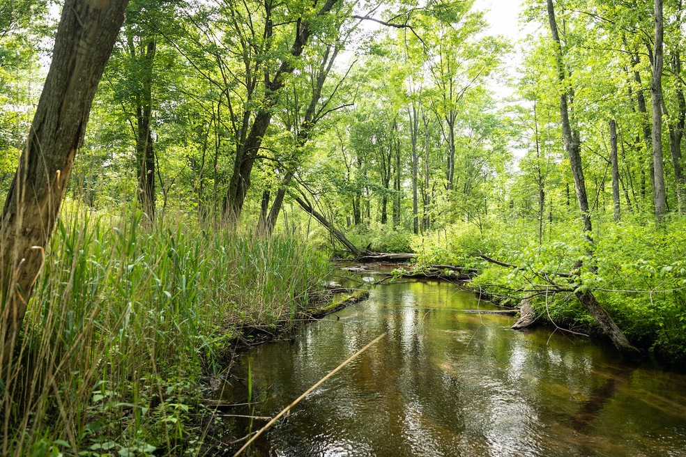 Taylor Rd. 9