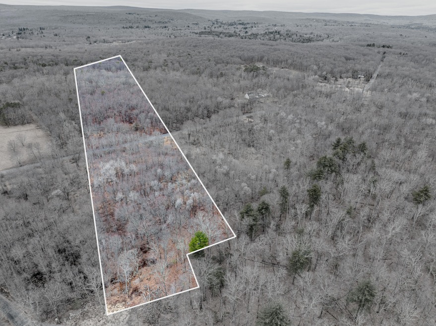 DJI_20250317142936_0465_D-Edit