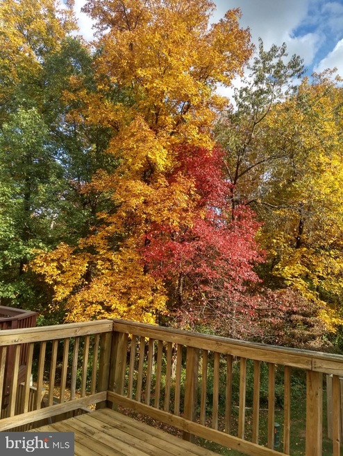 3328 Piney Ridge Ct, Herndon, VA 20171 - photo 1