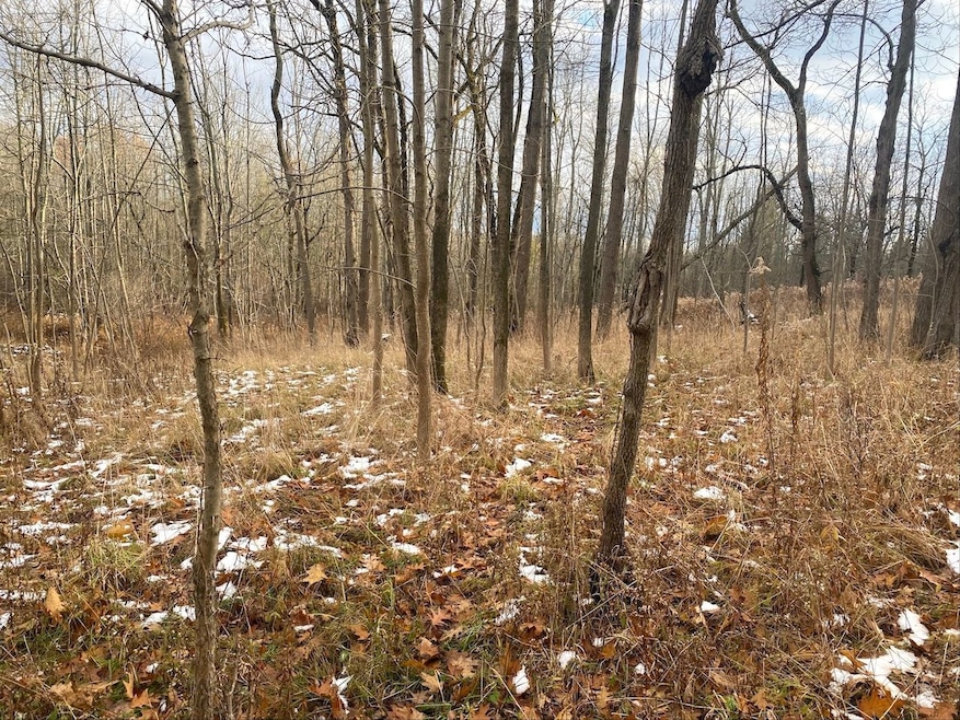 County Road 15, Fillmore, NY 14836 - photo 1