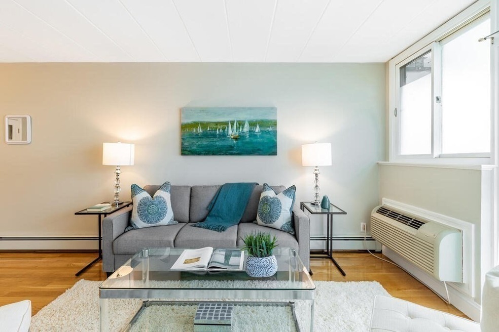 345 Harvard St unit 3C, Cambridge, MA 02138 - photo 1