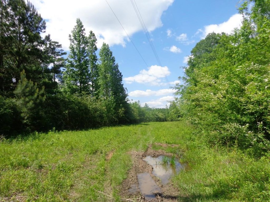 0 Pico Rd, Franklinton, LA 70438 - photo 1