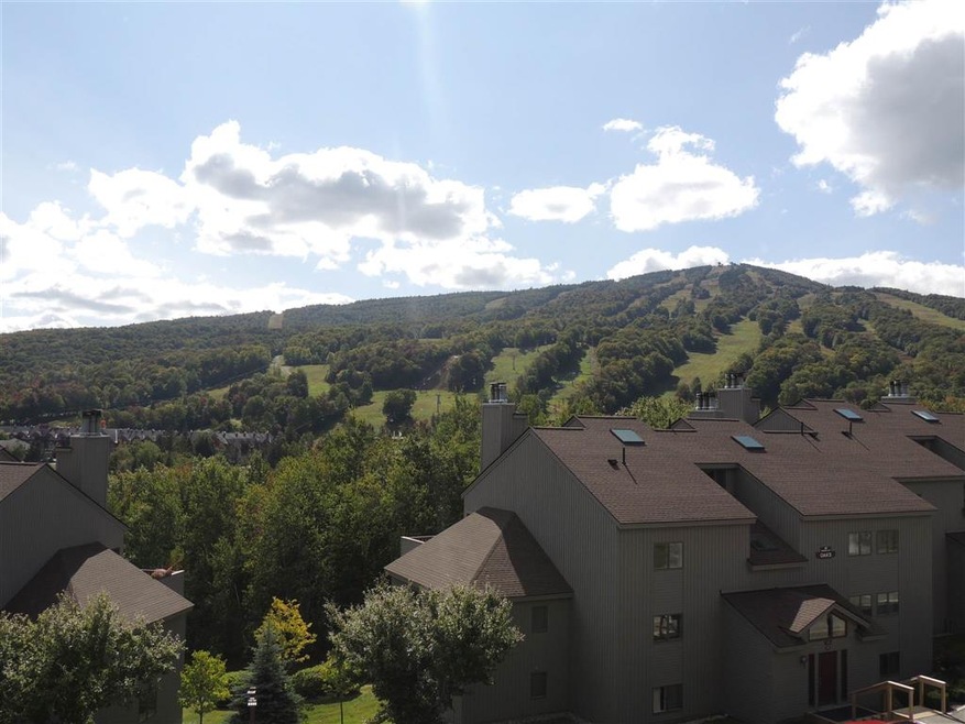 5 Snow Tree Ln unit Elms E, West Dover, VT 05356 - photo 1