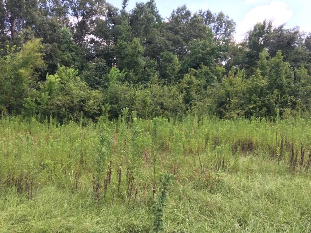 00 Derek Rd, Lufkin, TX 75904 - photo 1