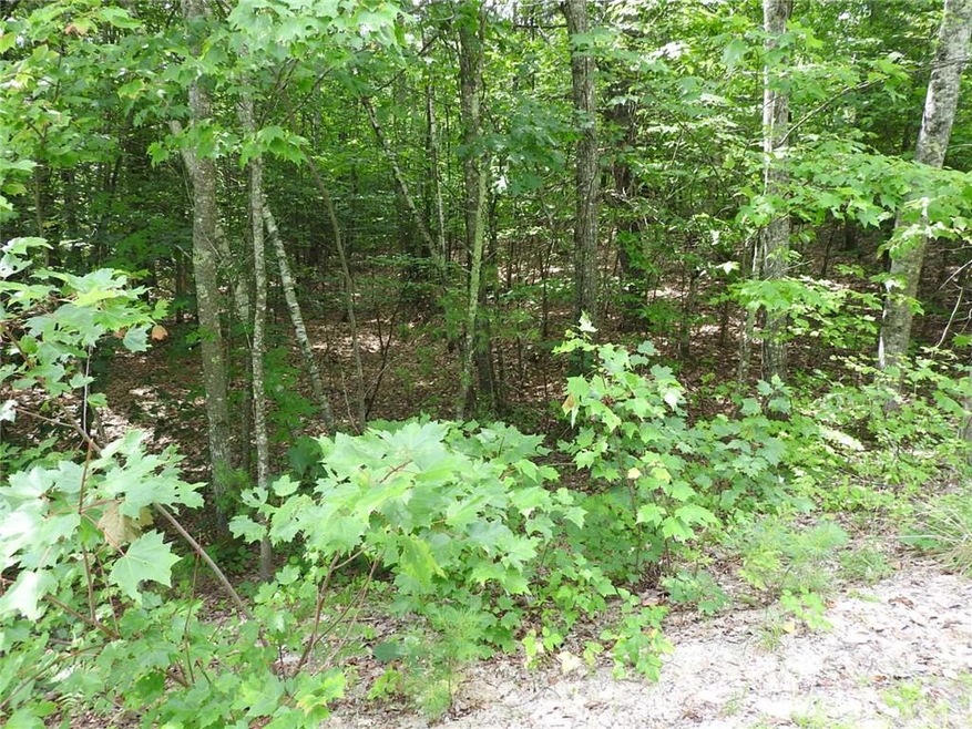 0 Rocky Dunn Rd unit 1321613, Baldwin, ME 04024 - photo 1