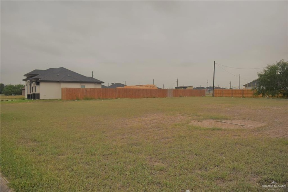 209 Vanilla Dr, Alamo, TX 78516 - photo 1