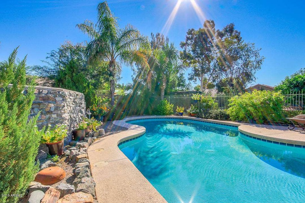 Fabulous backyard