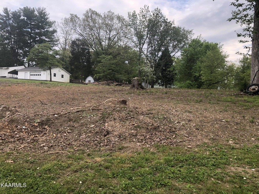 0 Chahokia Dr unit 1192596, Rutledge, TN 37861 - photo 1