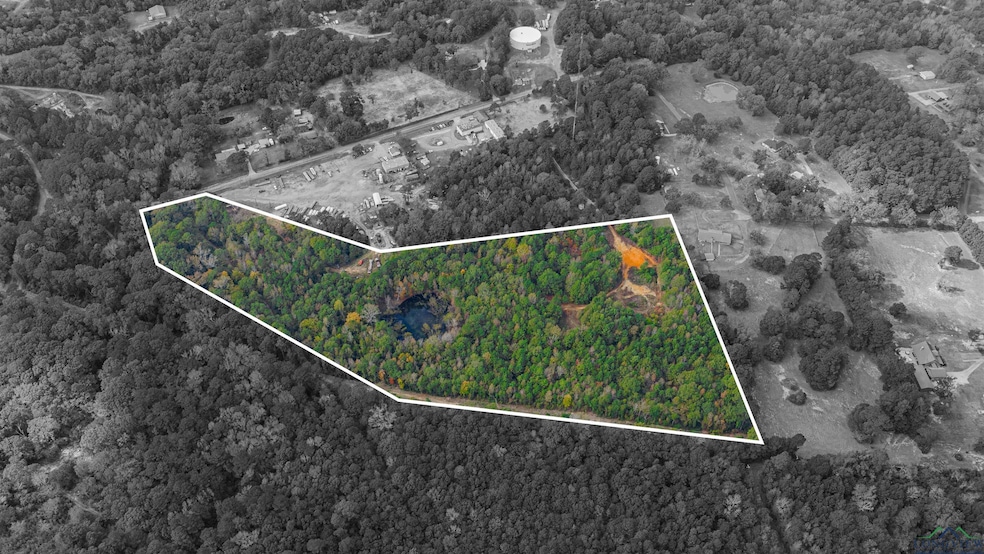 TBD Cr 1122, Kilgore, TX 75662 - photo 1