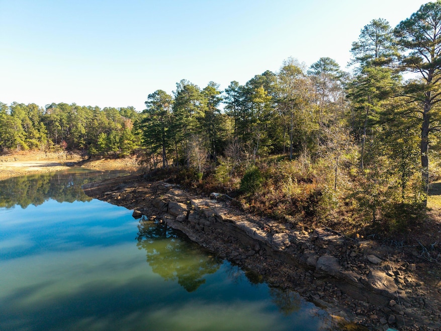 0 Lot 23 Bear Branch Cove, Arley, AL 35541 - photo 1