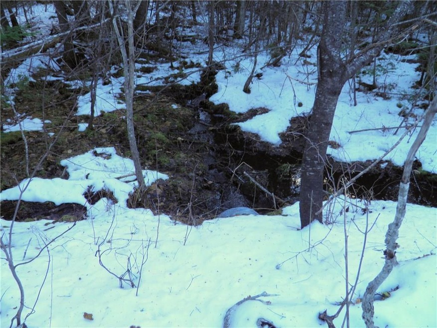 Maine Land for Sale in Island Falls,...