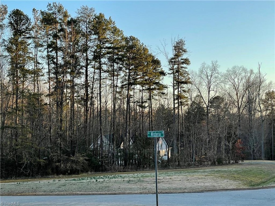 Lot 8 Wisteria Ln, Asheboro, NC 27205 - photo 1