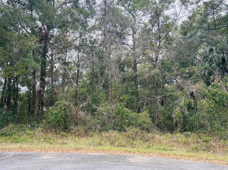 Wooded Lot on Cul De Sac