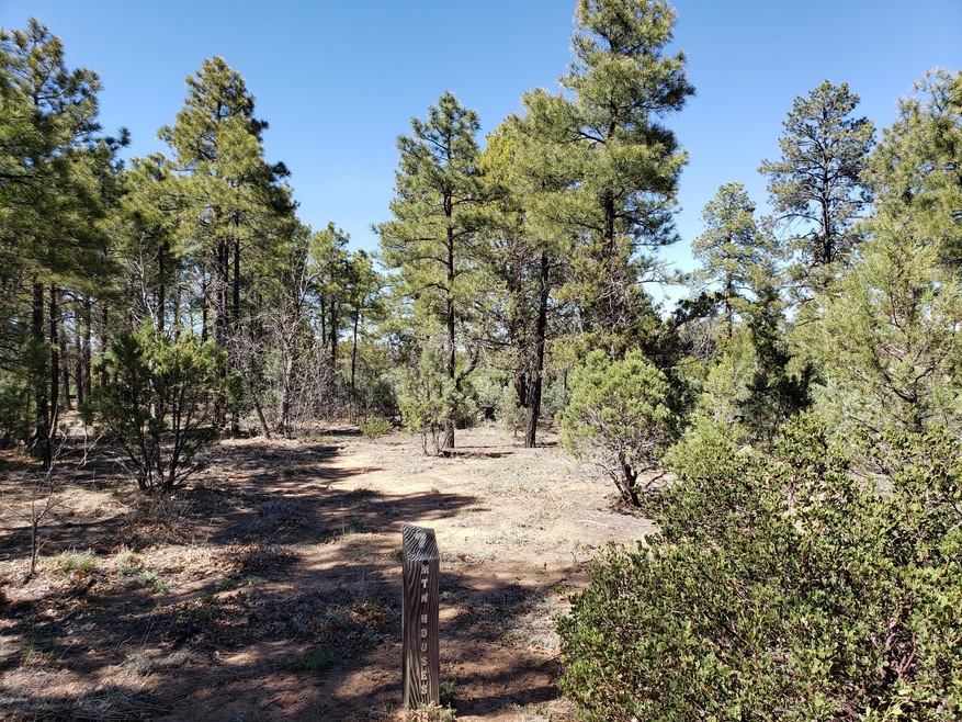 4190 W Sugar Pine Loop