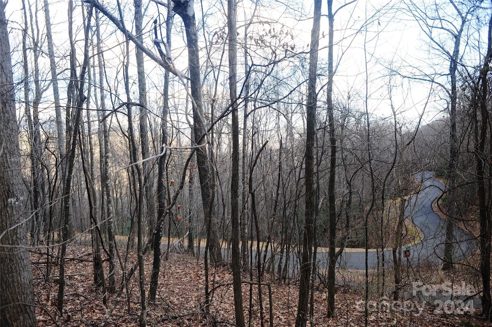 Winter view from the lot.