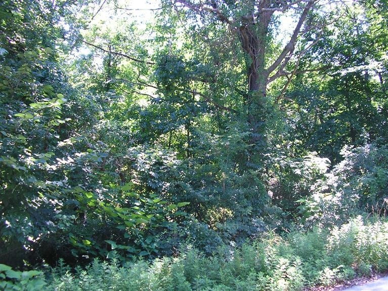 0 Pinewood Dr, Michigan City, IN 46360 - photo 1