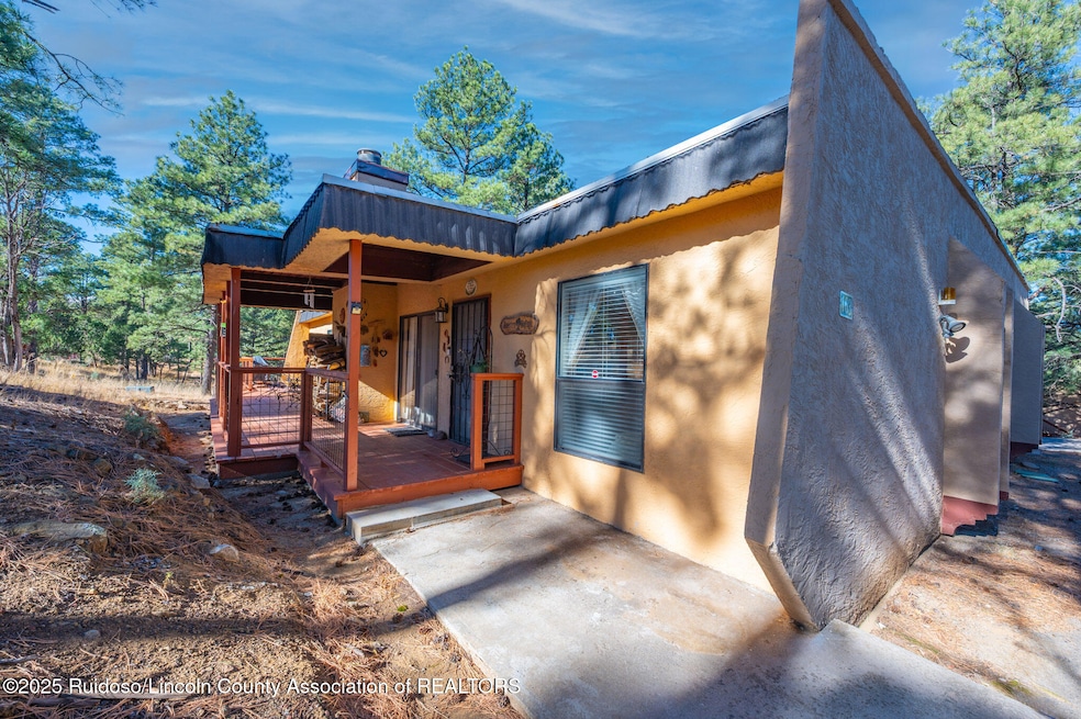 163 Alto Alps Rd, Alto, NM 88312 - photo 1