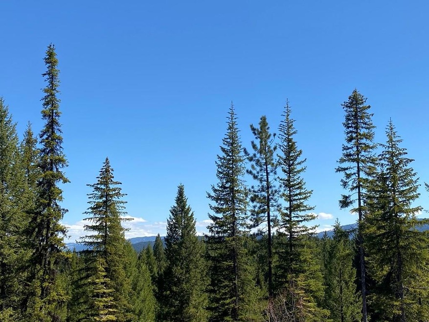 Lot 15 Saddle Rock Way unit 15, Cascade, ID 83611 - photo 1