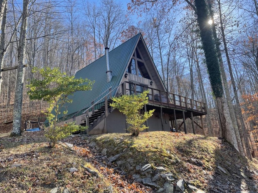 Main View