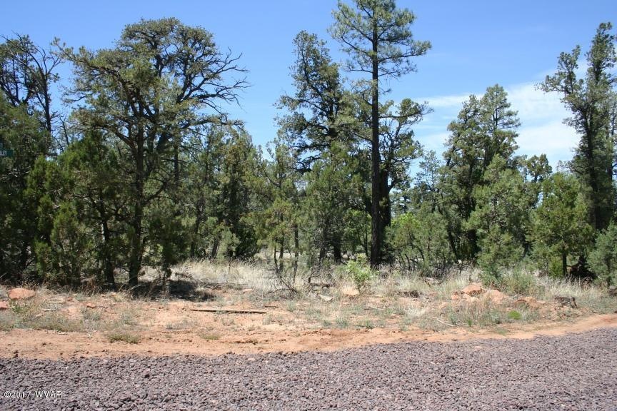 Paradise Pines