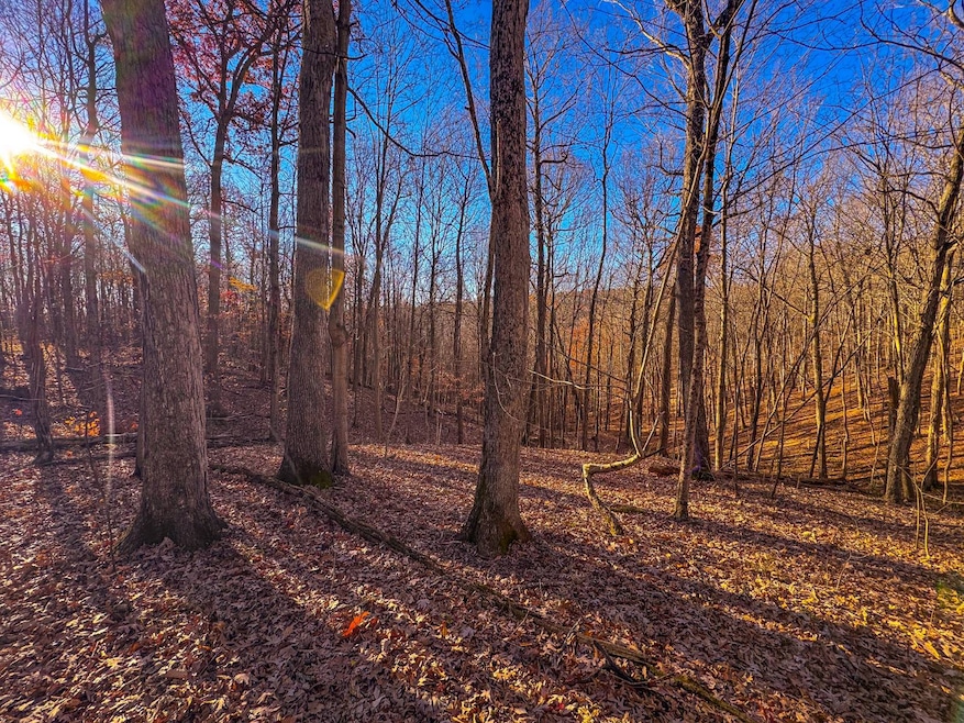 0 Oak Grove Rd, Waverly, WV 26184 - photo 1