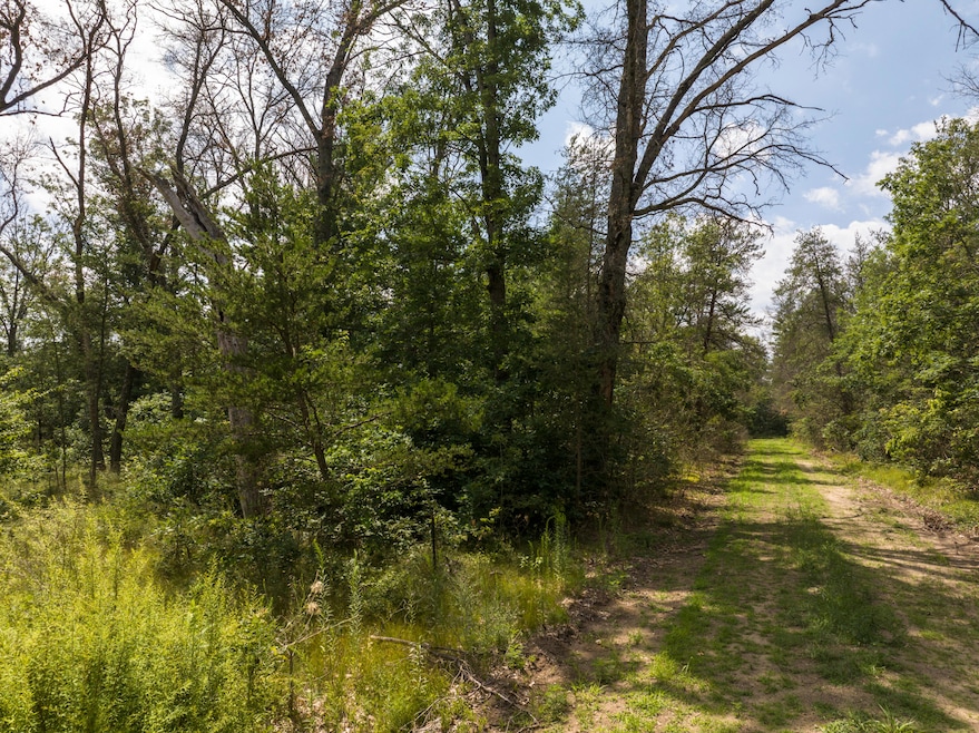 3. DJI_20240709084312_0127_D