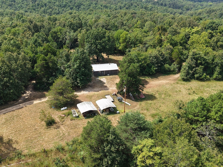 1315 Co Rd 67, Mammoth Spring, AR 72554 - photo 1