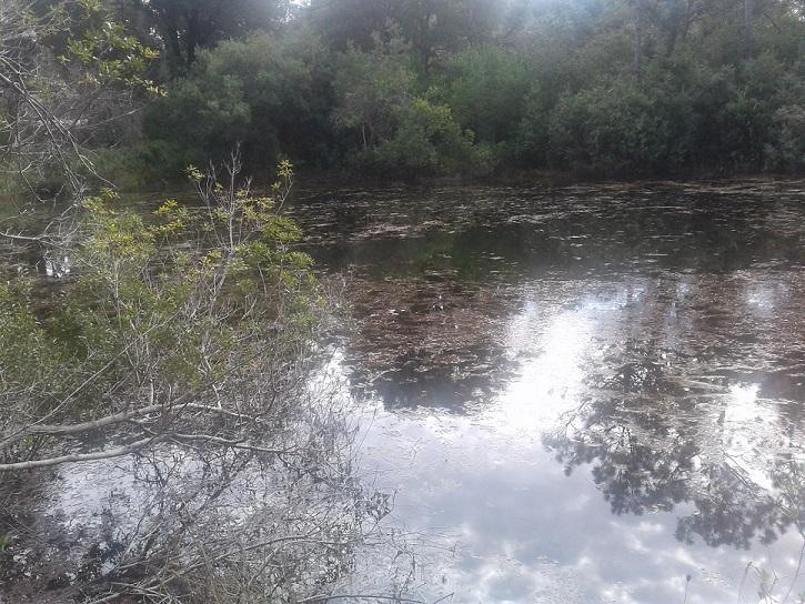 Lake 1