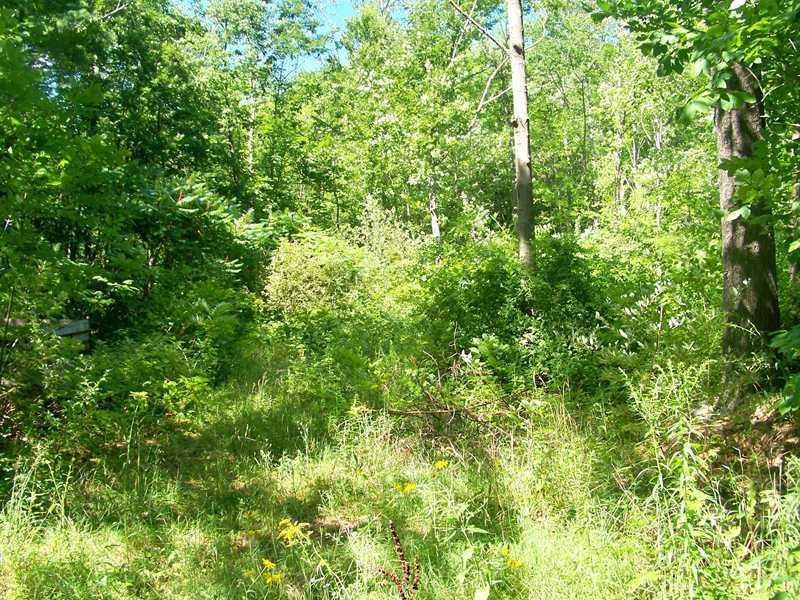 14 Jewett Ln, Kittery, ME 03904 - photo 1