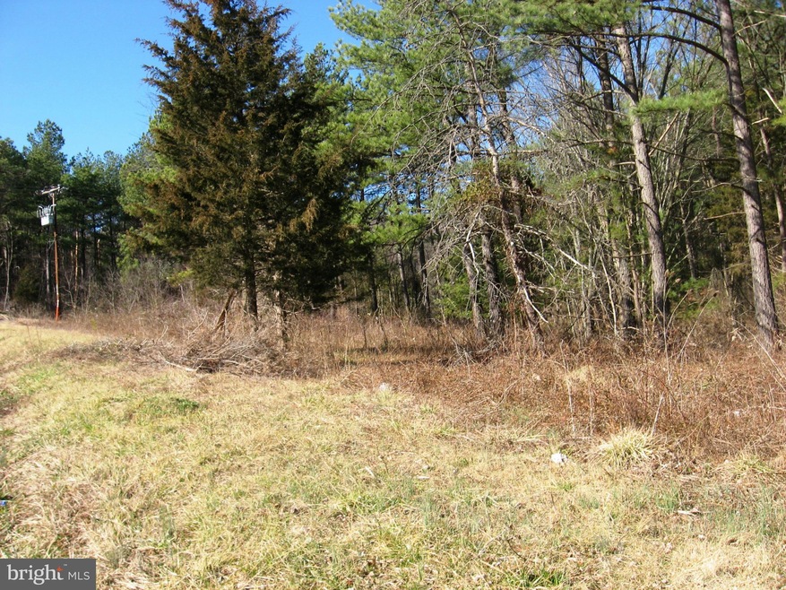 0 Orkney Grade Rd unit VASH118720, Mount Jackson, VA 22842 - photo 1