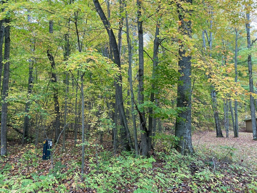 0 Alpine Dr Unit 24001010, Reed City, MI 49677 MLS 24001010