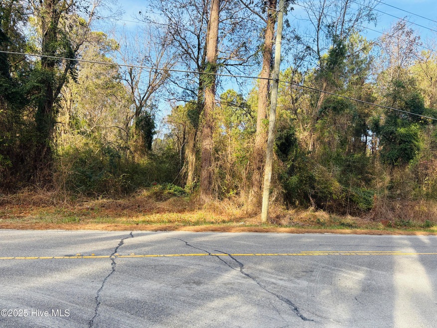 Near 5252 Chadbourn Hwy. Cahdbourn, NC
