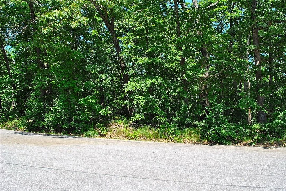 1 Ramsey Dr, Bella Vista, AR 72714 - photo 1