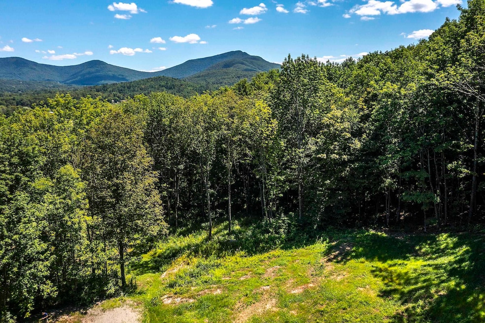 0 Foote Rd unit 5053891, Dorset, VT 05251 - photo 1