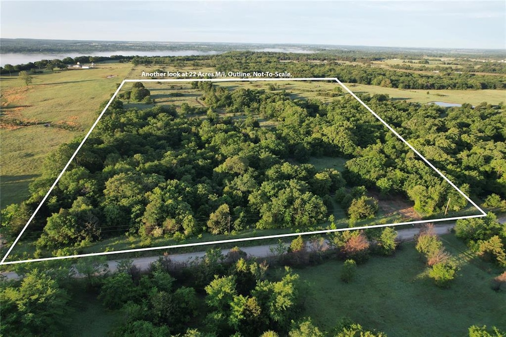 Drone / aerial view of a large body of water and a forest