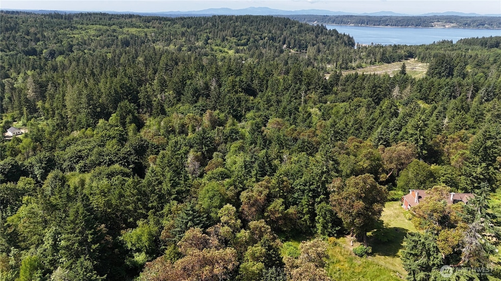 18771 & 19789 Erickson Rd SW, Longbranch, WA 98351 - photo 1