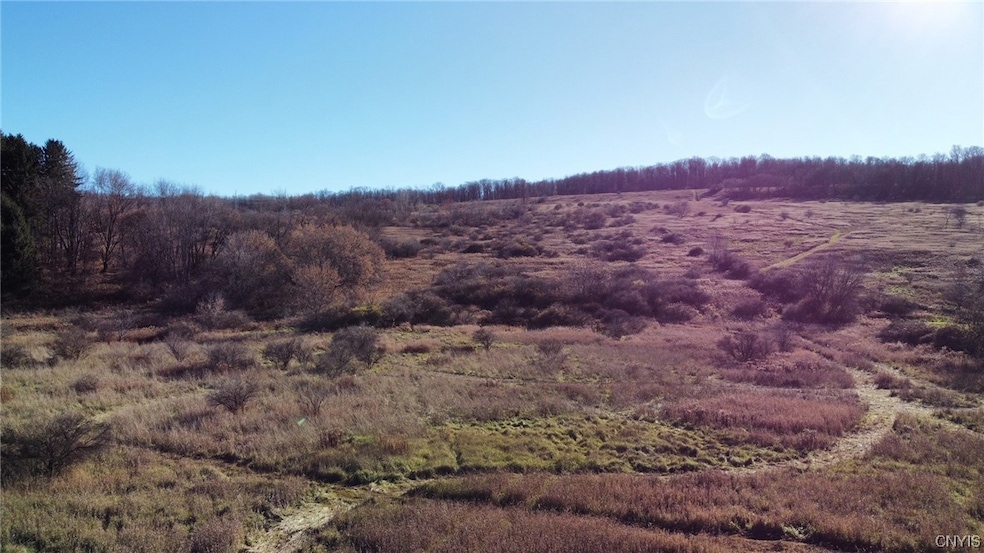 0 Starr Rd unit S1525788, Cortland, NY 13045 - photo 1