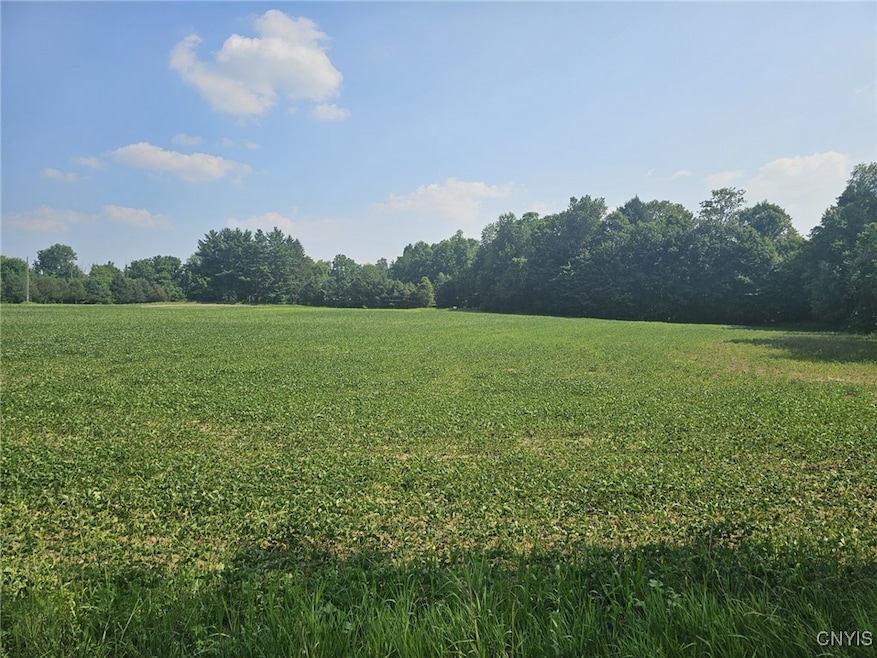 0 Clinton Rd, Weedsport, NY 13166 - photo 1