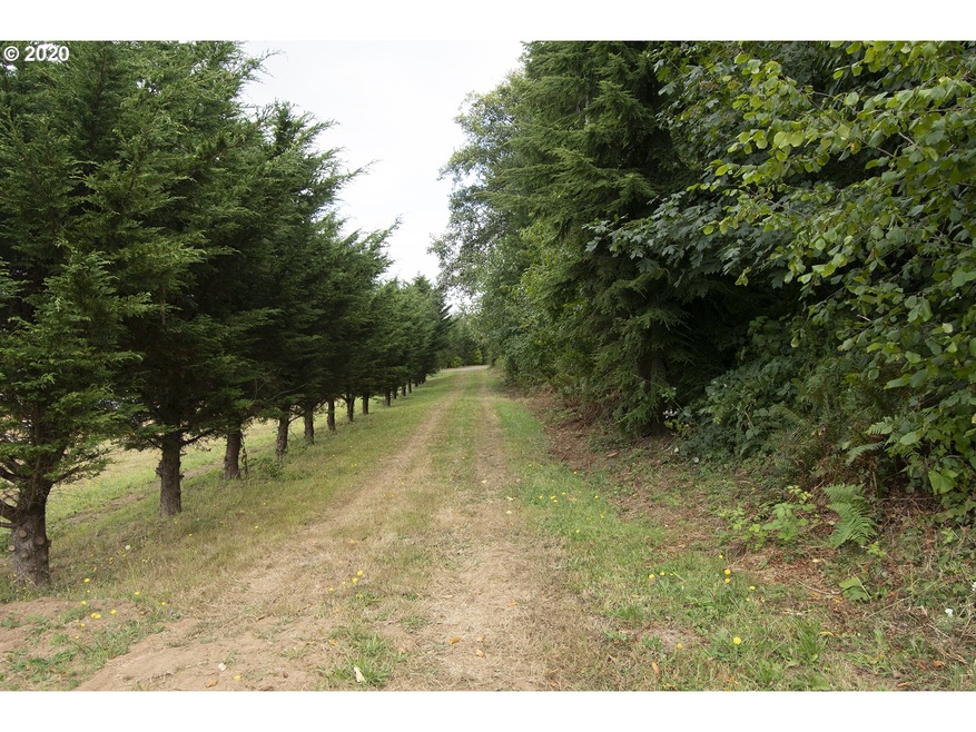 0 Oak Point Rd, Longview, WA 98632 - photo 1