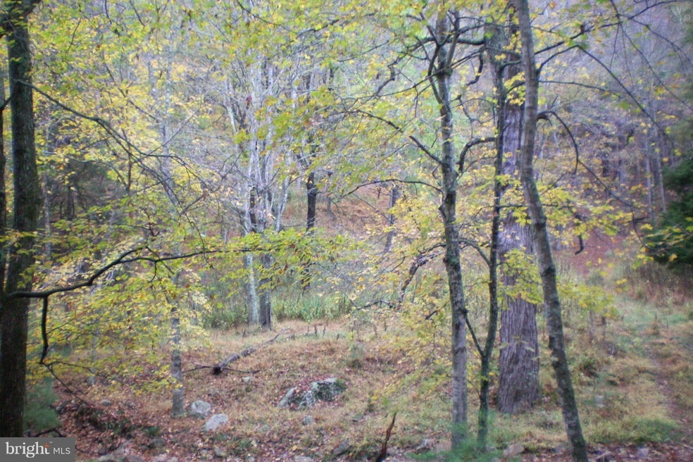 0 Dickenson Mountain Rd unit 220/7 WVPT100100, Franklin, WV 26807 - photo 1