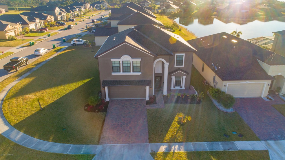 659FiddleleafCircle(37of7)