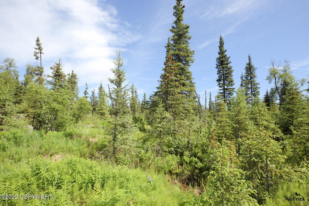 D24 Alaskan Wildwood Ranch(r), Nikolaevsk, AK 99556 - photo 1